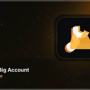 TikTok Big Account — 1M Organic
